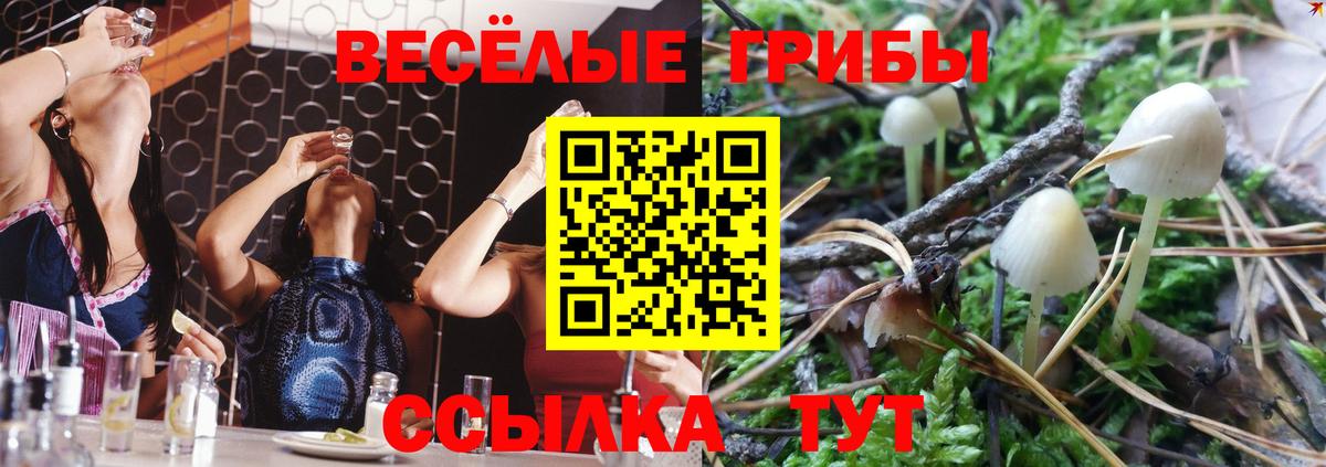 Псилоцибиновые грибы Magic Shrooms Анжеро-Судженск